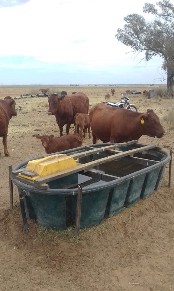 Cattle Water Trough 2.5m