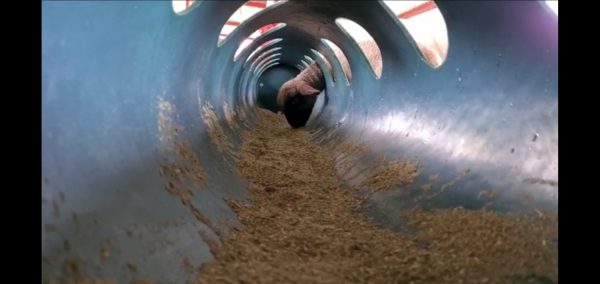 Lamb Crawl Feeding Pipe 3m