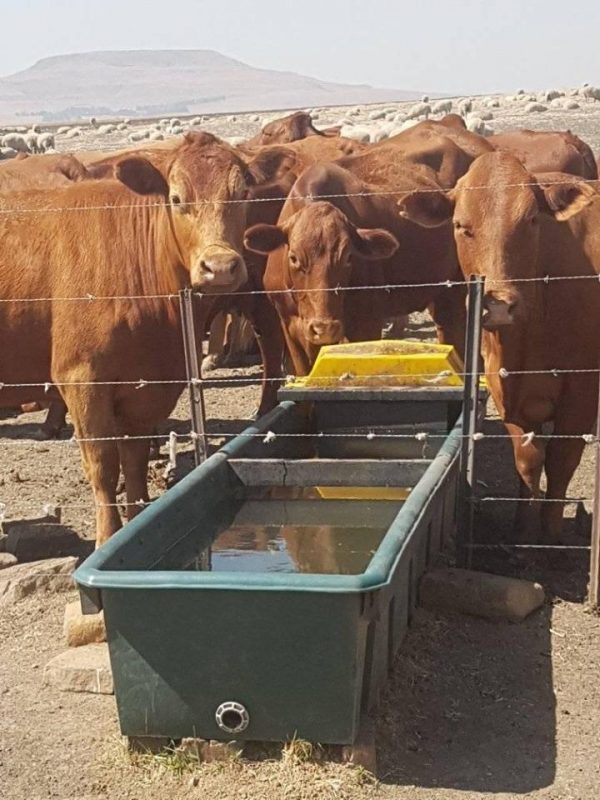 Cattle Water Trough 3m